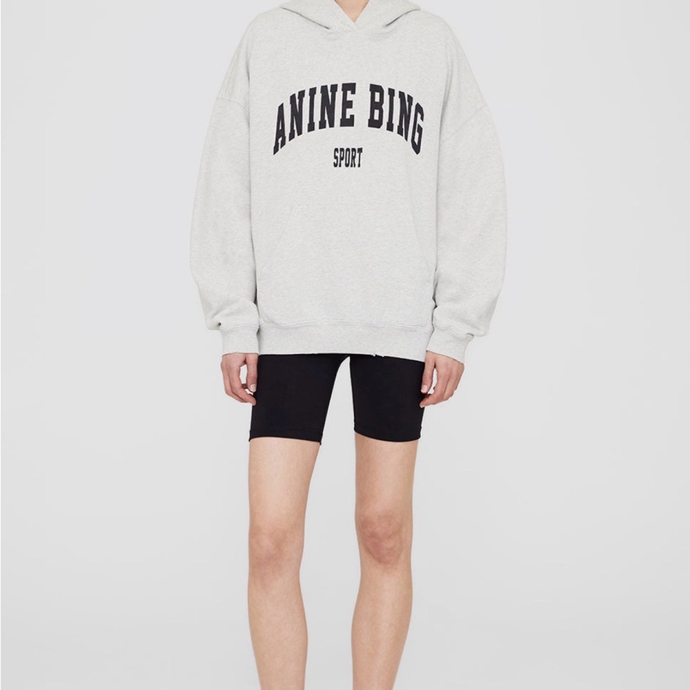 Anine Bing Gray Hoodie